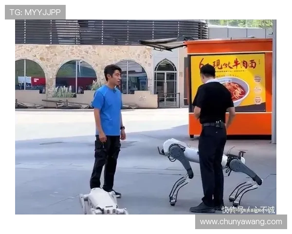 37岁龙队意外摔倒四脚朝天狼狈不堪 不服老的他也难逃岁月考验 37岁龙队意外摔倒四脚朝天狼狈不堪 不服老的他也难逃岁月考验