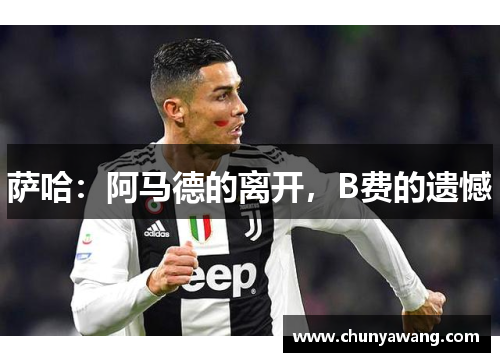 萨哈：阿马德的离开，B费的遗憾