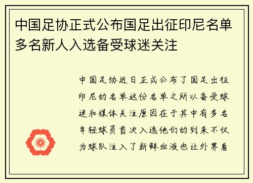 中国足协正式公布国足出征印尼名单多名新人入选备受球迷关注